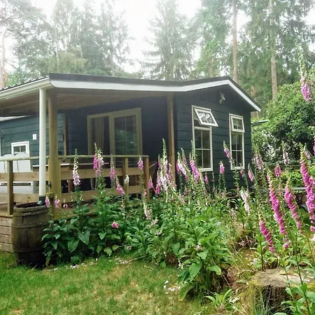 Campsite Woudhof *