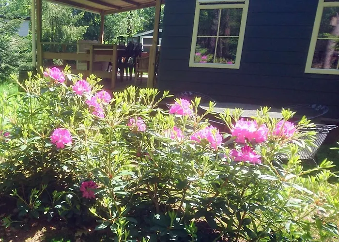 Woudhof * Laag-Soeren